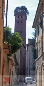Lucca, Garten an der Spitze des Turms