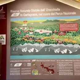 State Natural Reserve of Orecchiella